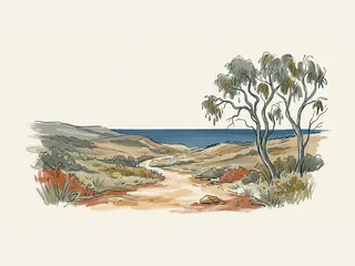 Sendero entre eucaliptos y matorrales que conduce hacia una costa australiana imaginada.