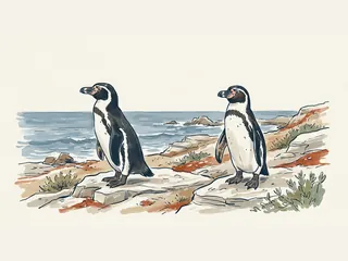 Dos pingüinos de Humboldt en una costa rocosa sin hielo.