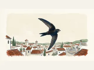 Vencejo volando sobre tejados de un pueblo.
