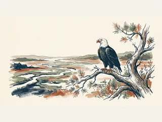 Un águila calva posa en una rama sobre un paisaje de humedal.