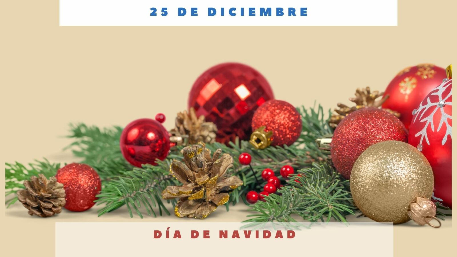 DÍA DE NAVIDAD 25 de diciembre Día Internacional Hoy