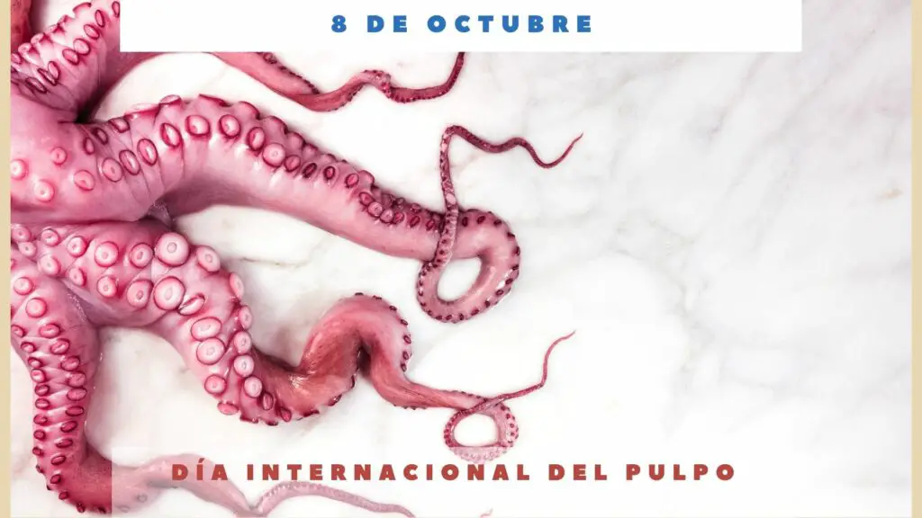 DÍa Internacional Del Pulpo 8 De Octubre Día Internacional Hoy