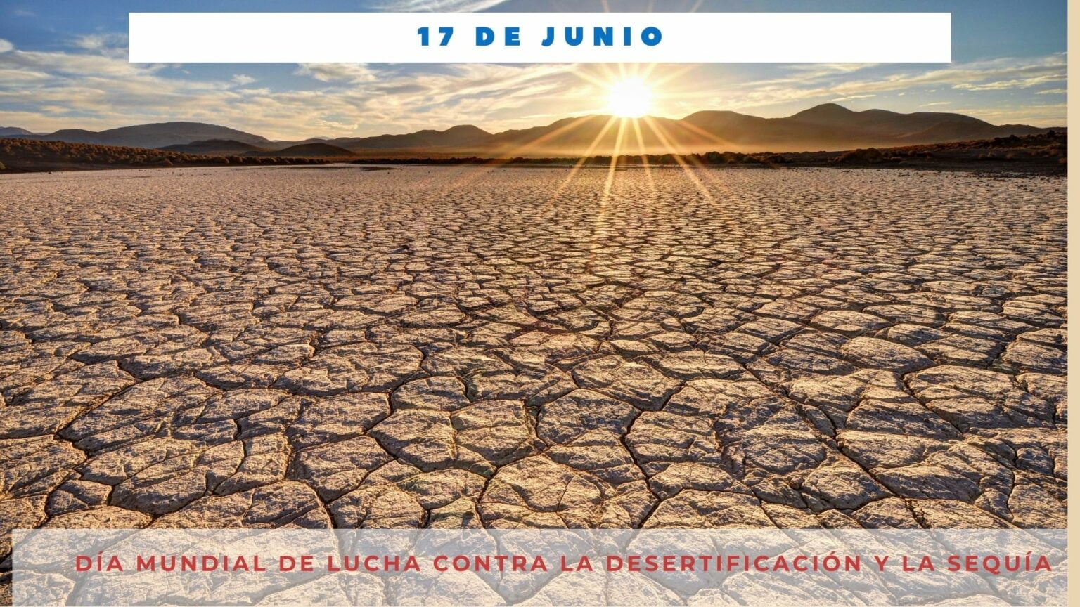 DÍa Mundial De La Lucha Contra La DesertificaciÓn Y La SequÍa 17 De Junio Día Internacional Hoy 0120