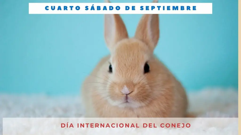 DÍA INTERNACIONAL DEL CONEJO Cuarto sábado de septiembre Día