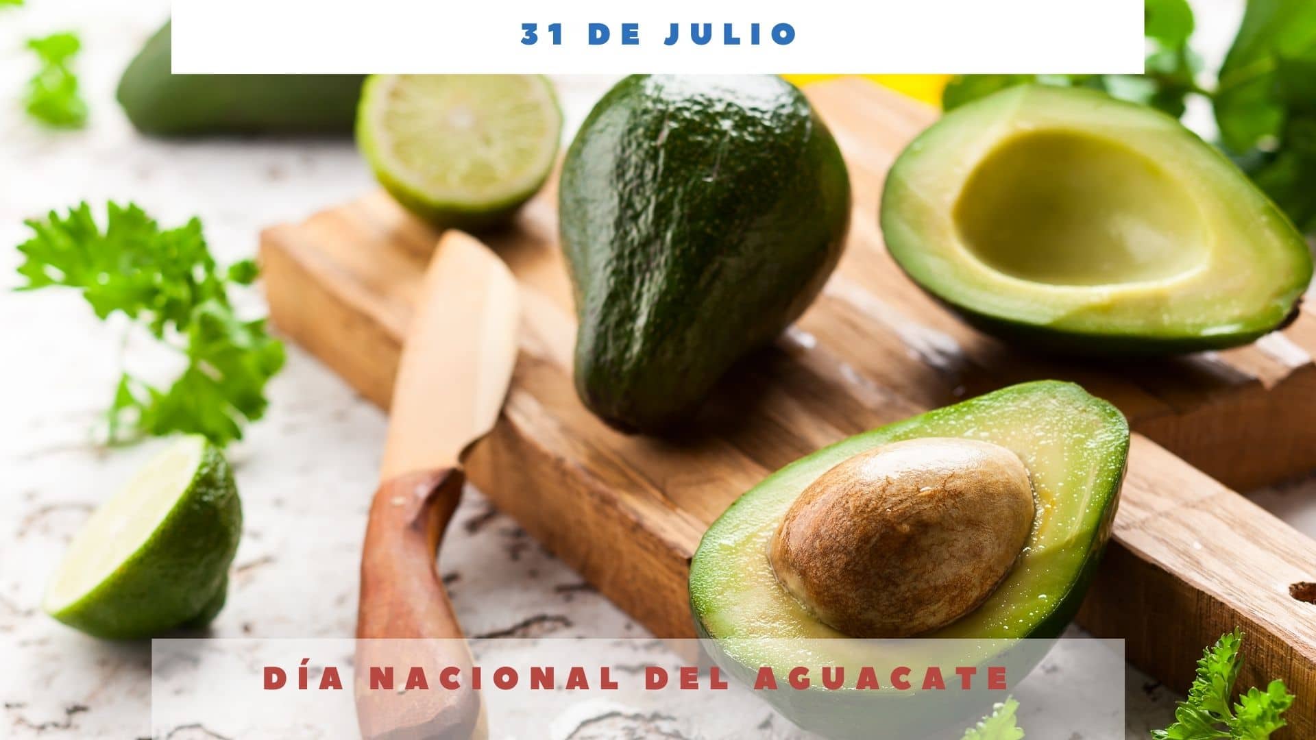 DÍa Nacional Del Aguacate 31 De Julio Día Internacional Hoy