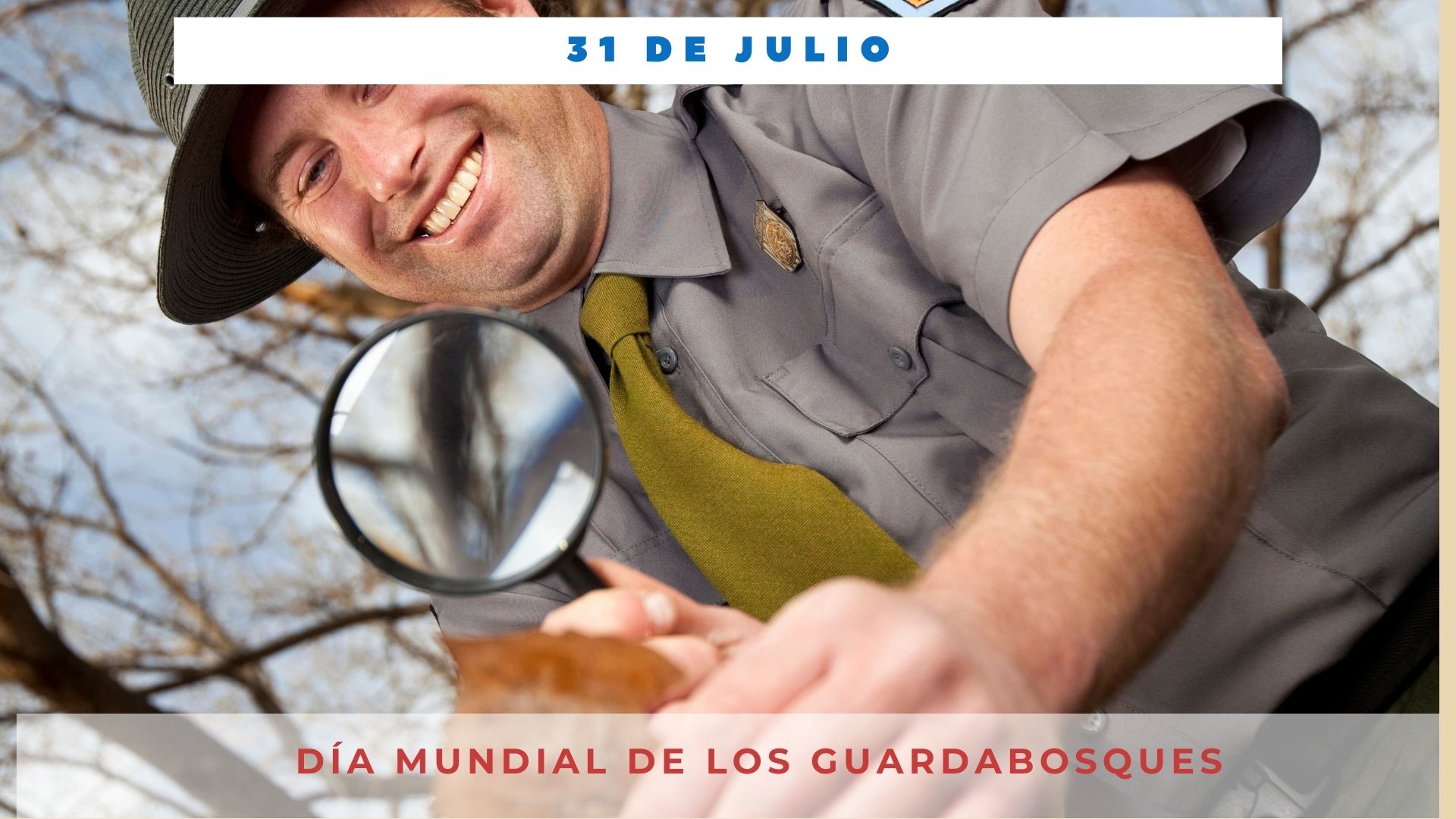 DÍA MUNDIAL DEL GUARDABOSQUES - 31 de julio - Día Internacional Hoy