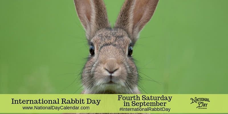 DÍA INTERNACIONAL DEL CONEJO - Cuarto sábado de septiembre - Día ...